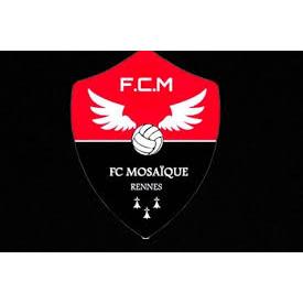 REN MOSAIQUE FC 2